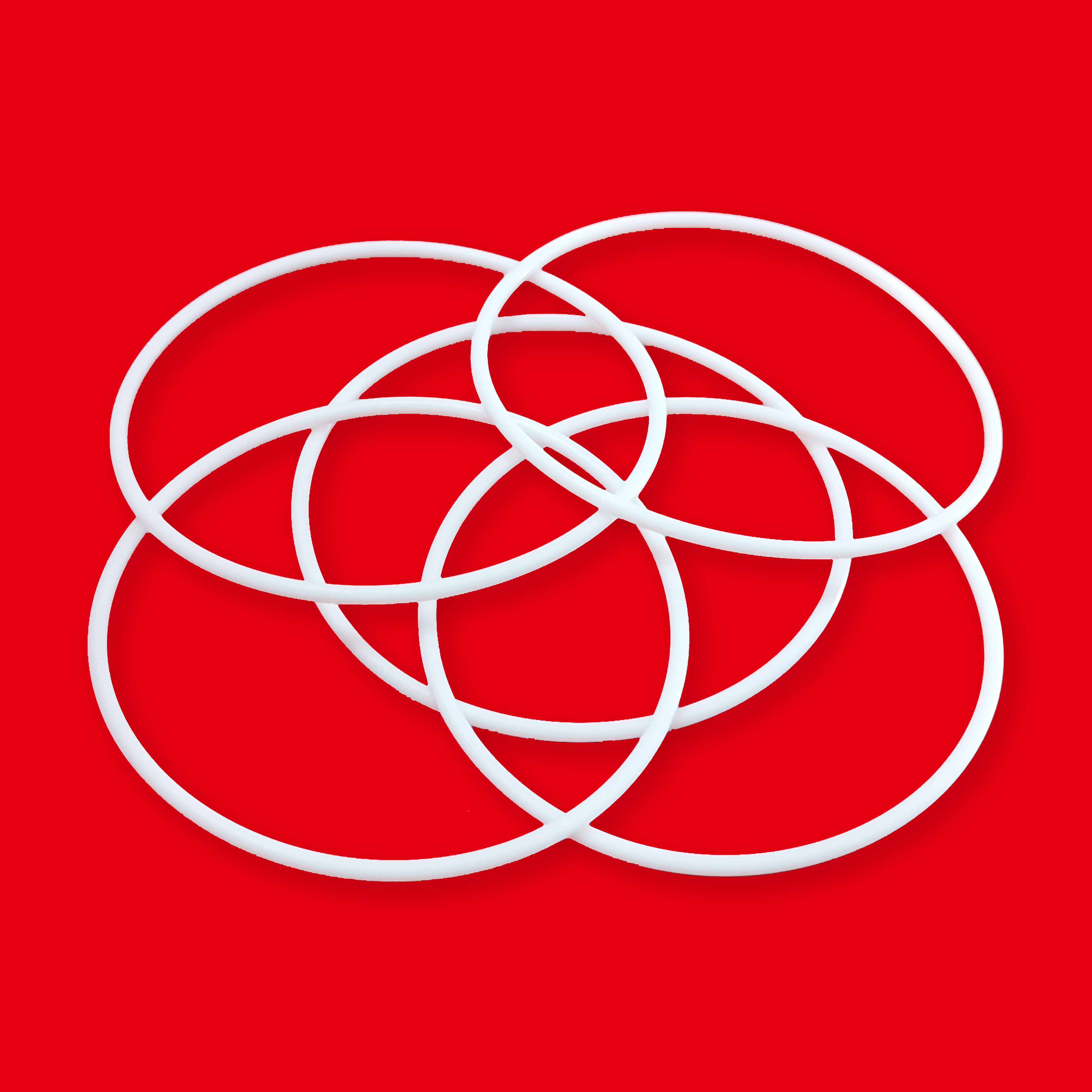 鐵氟龍O形密封圈