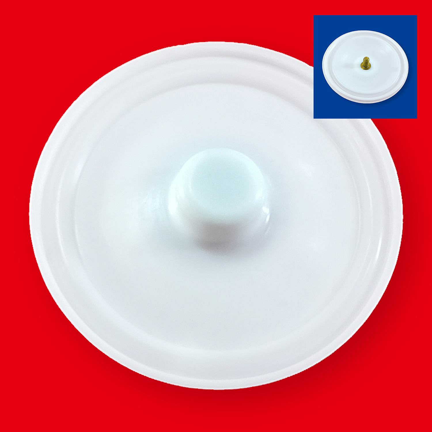 威爾頓隔膜泵隔膜（大）