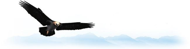 29d68869-cbfb-46f5-9865-56fadbdf80d5 29d68869-cbfb-46f5-9865-56fadbdf80d5