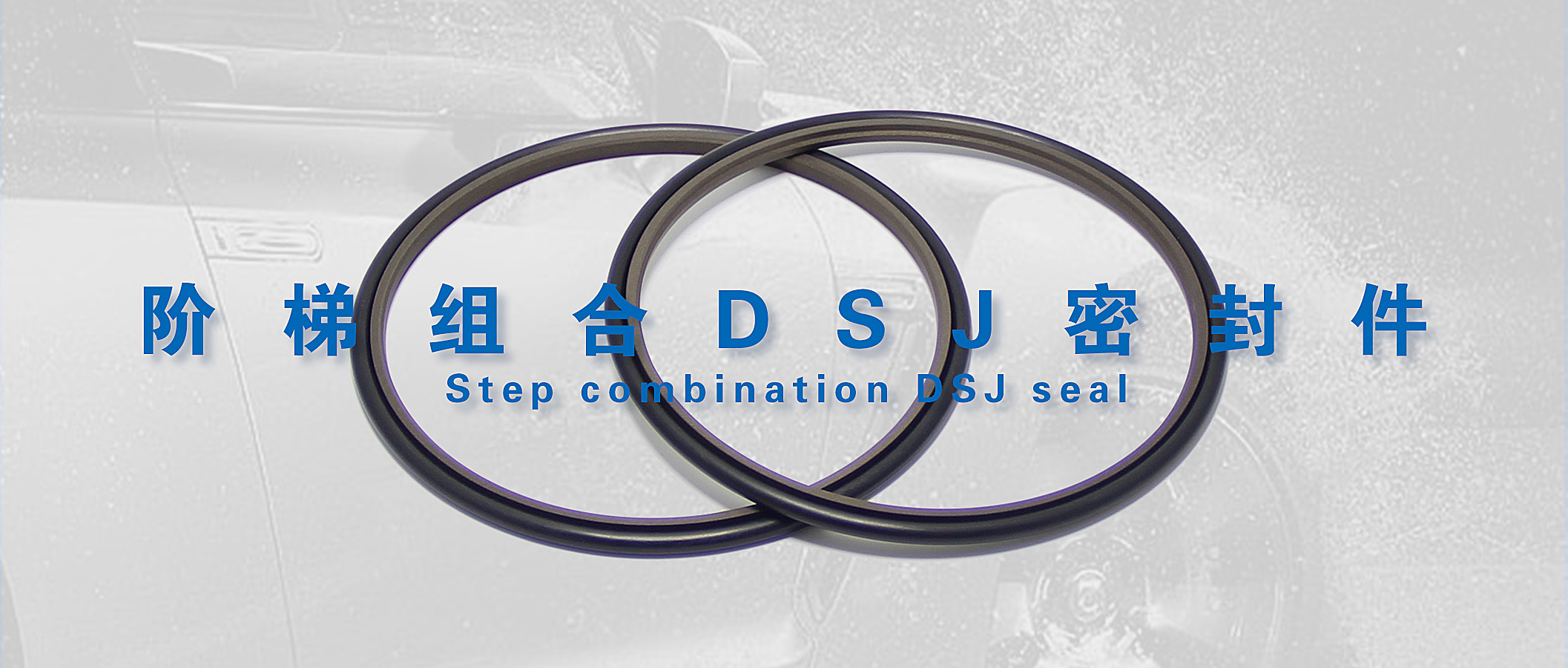 階梯組合密封件DSJ密封圈油封 (2) 階梯組合密封件DSJ密封圈油封 (2)