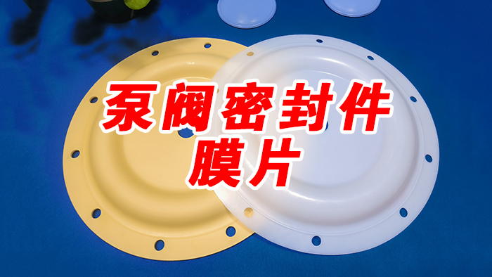 泵閥密封件膜片密封件 (1)