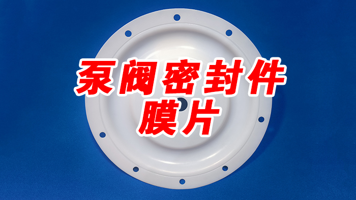 泵閥密封件膜片密封件 (2)